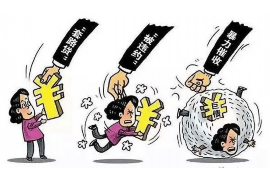 南陵专业讨债公司有哪些核心服务？